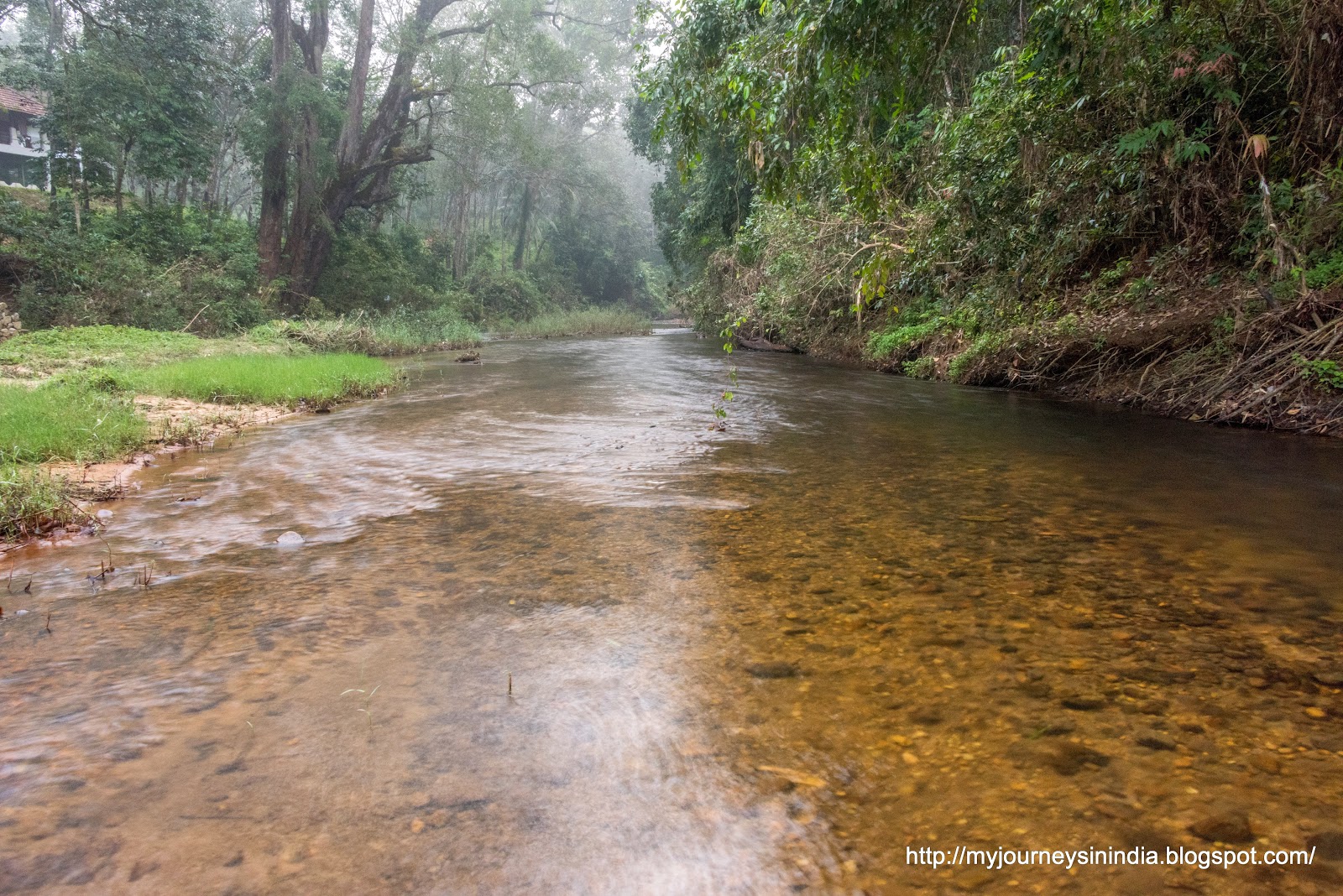 Kallar River Duke Forest Lodge Ponmudi