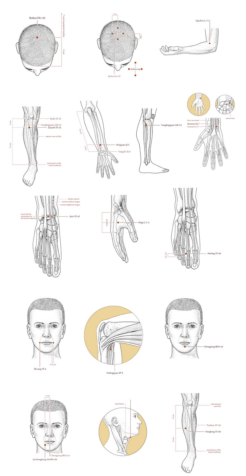 Acupuncture Masters Acupuncture Point Location for Parkinson's disease