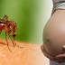 SENADO SE MANIFESTA CONTRA ABORTO PARA GRÁVIDAS INFECTADAS POR ZIKA