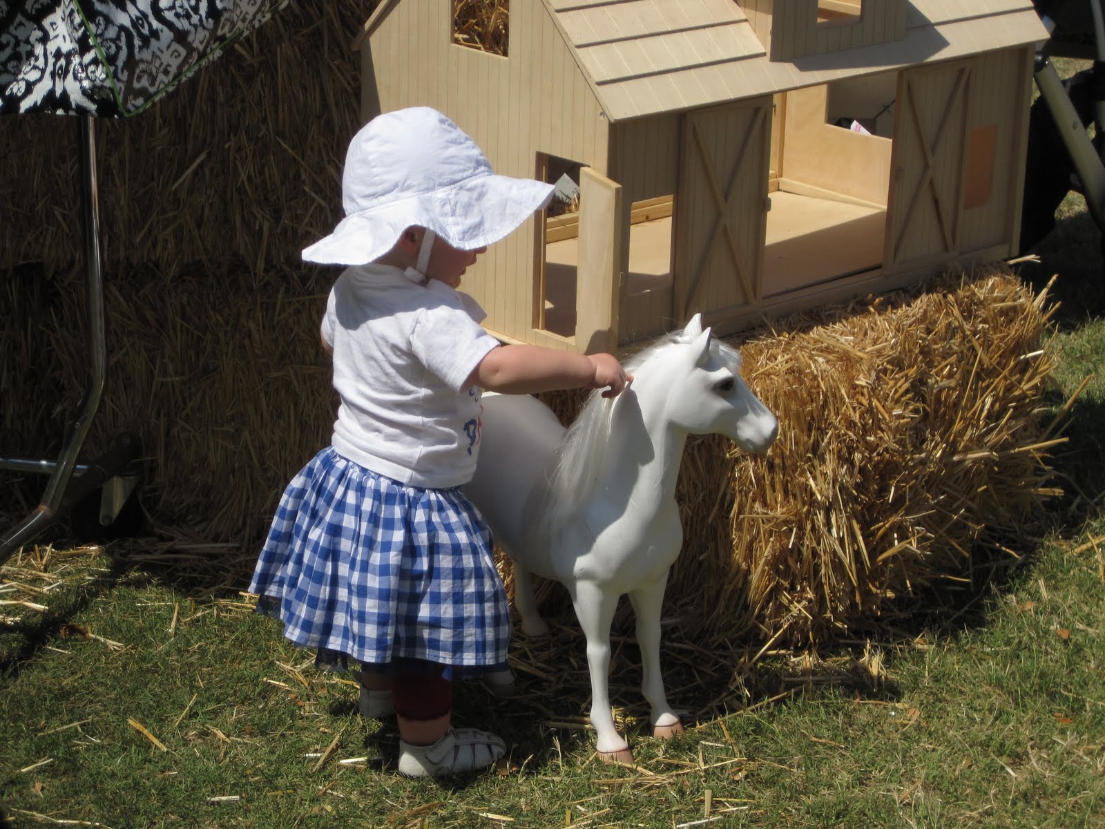 Behind the Scenes at Stuart Ng Books Horse Show 2011 Activities & Booths