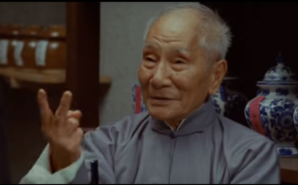 Megapix - Você não conhece a história do mestre de kung-fu Yip Man