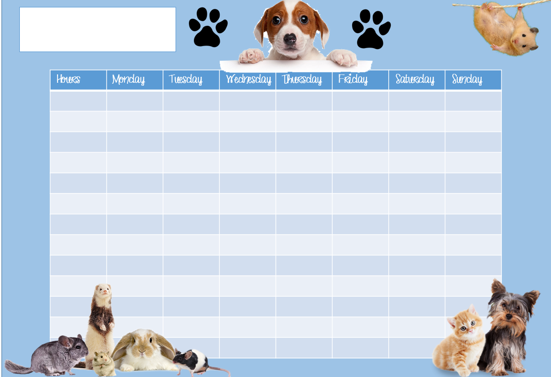 É Mesmo Simples Pets School Timetable