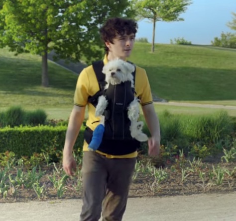 amazon prime dog commercial song amazon prime dog commercial song
