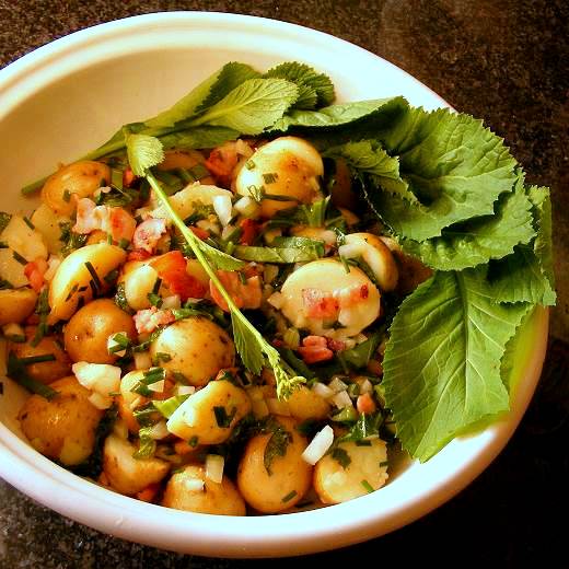 Warm NewPotato Salad with Bacon and Mustard Greens Scrumptious South