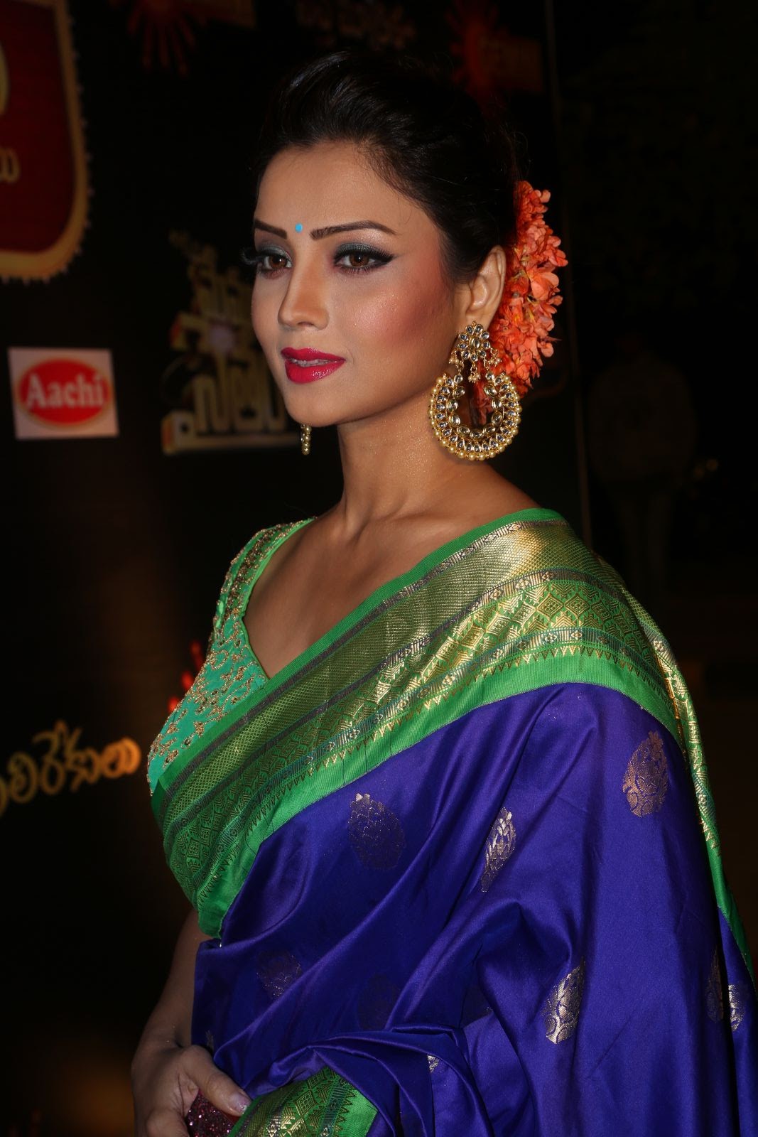 Adaa Khan dazzling saree stills from Gemini awards