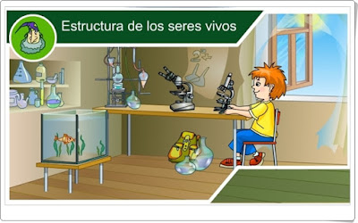 http://recursostic.educacion.es/primaria/alquimia/web/b/01/animaciones/a_fb12_00.html
