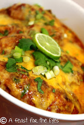pressure chicken salsa cheesy lime cooking recipe keyingredient afraid explosion cooker bit never ve had ingredient keyword enter