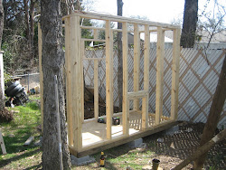 walls coop chicken texas going backyard dallas parents building