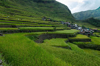 Ifugao Batad rice Terraces