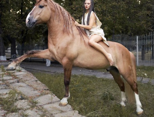 sexy riding horses photo