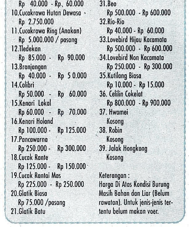 Gold-oriole: Daftar Harga Burung di Pasar Pramuka