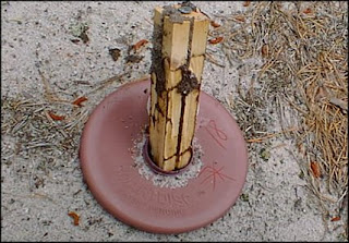 مصيدة النمل الابيض شكل اخر مصيدة