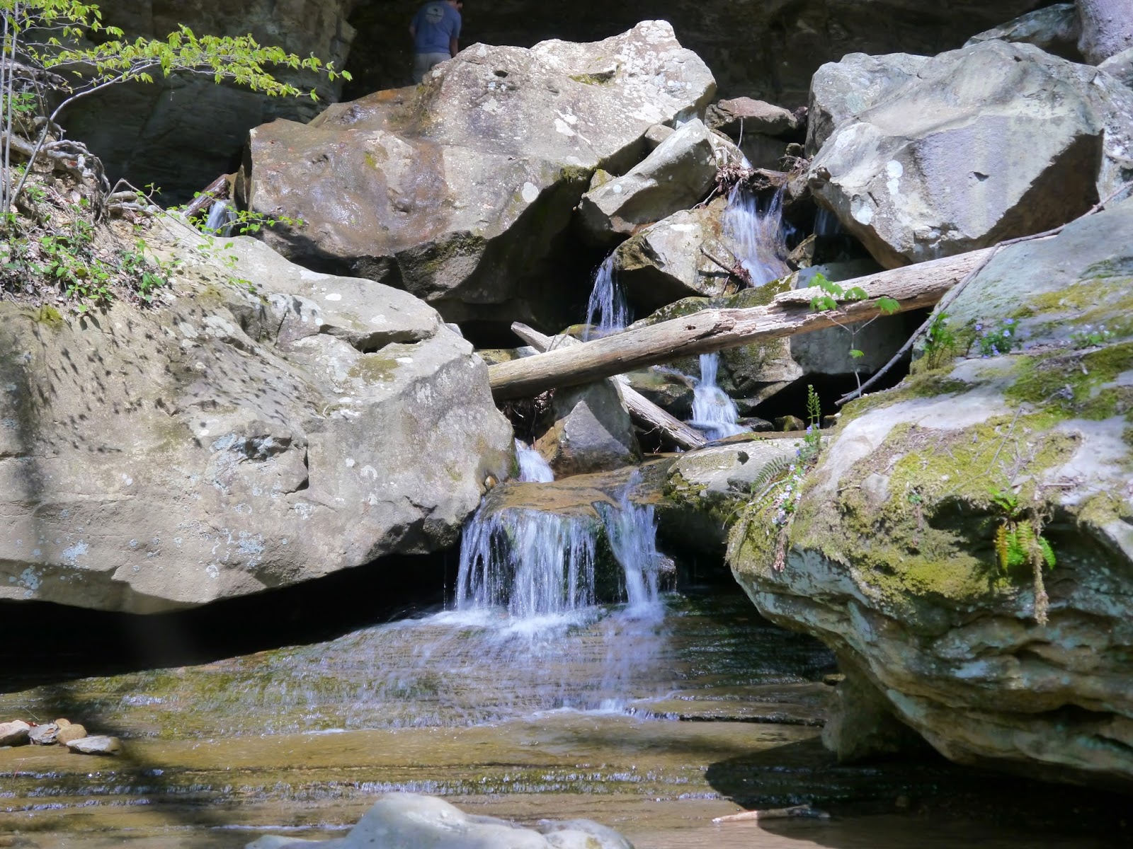 American Travel Journal Emory Gap Falls Frozen Head State Park
