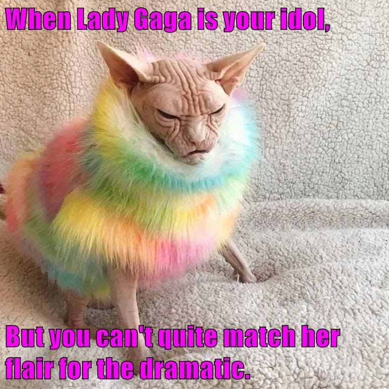 Simply Right Cat Food Simply Right Cat Food