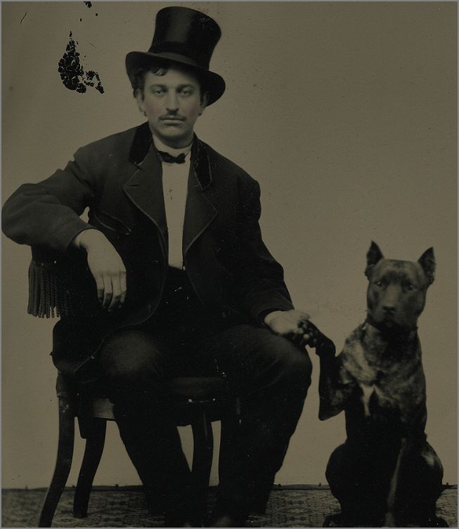 Vintage Doggy Top Hat and Wagging Tails