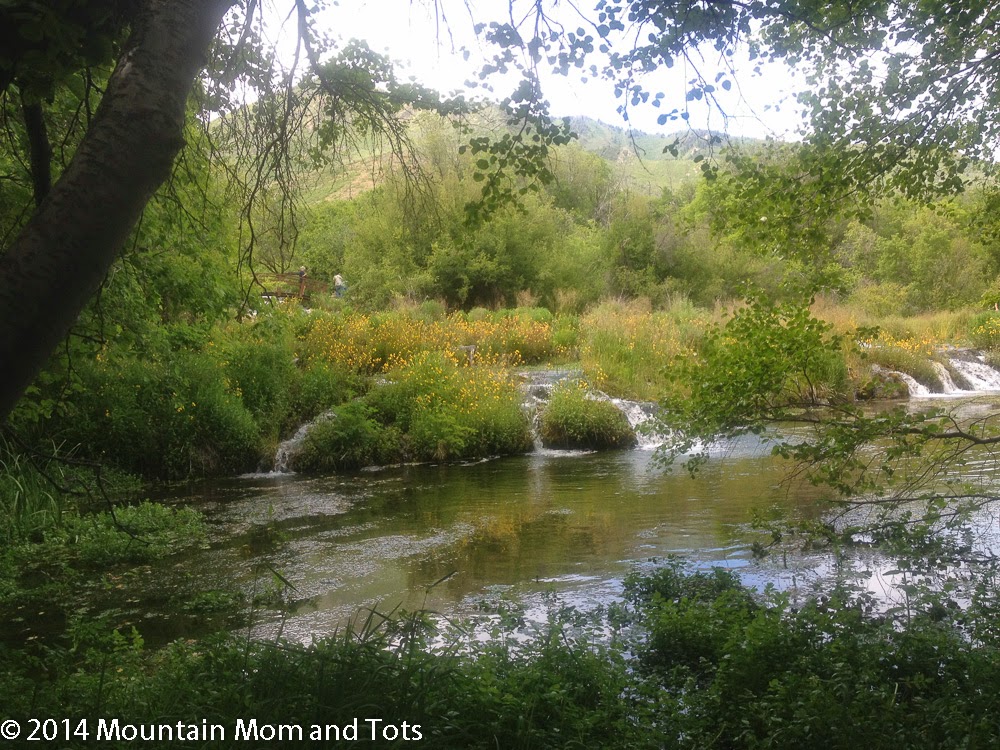 Waterfall Week Bonus: RZR to Cascade Springs, Utah - Mountain Mom and Tots