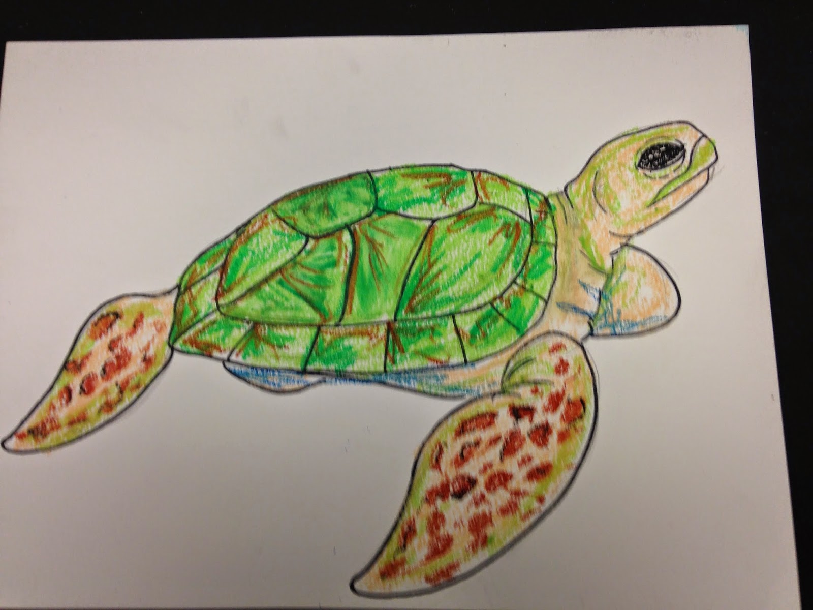 The Art Room Oil Pastel Sea Turtles (Grades 15)