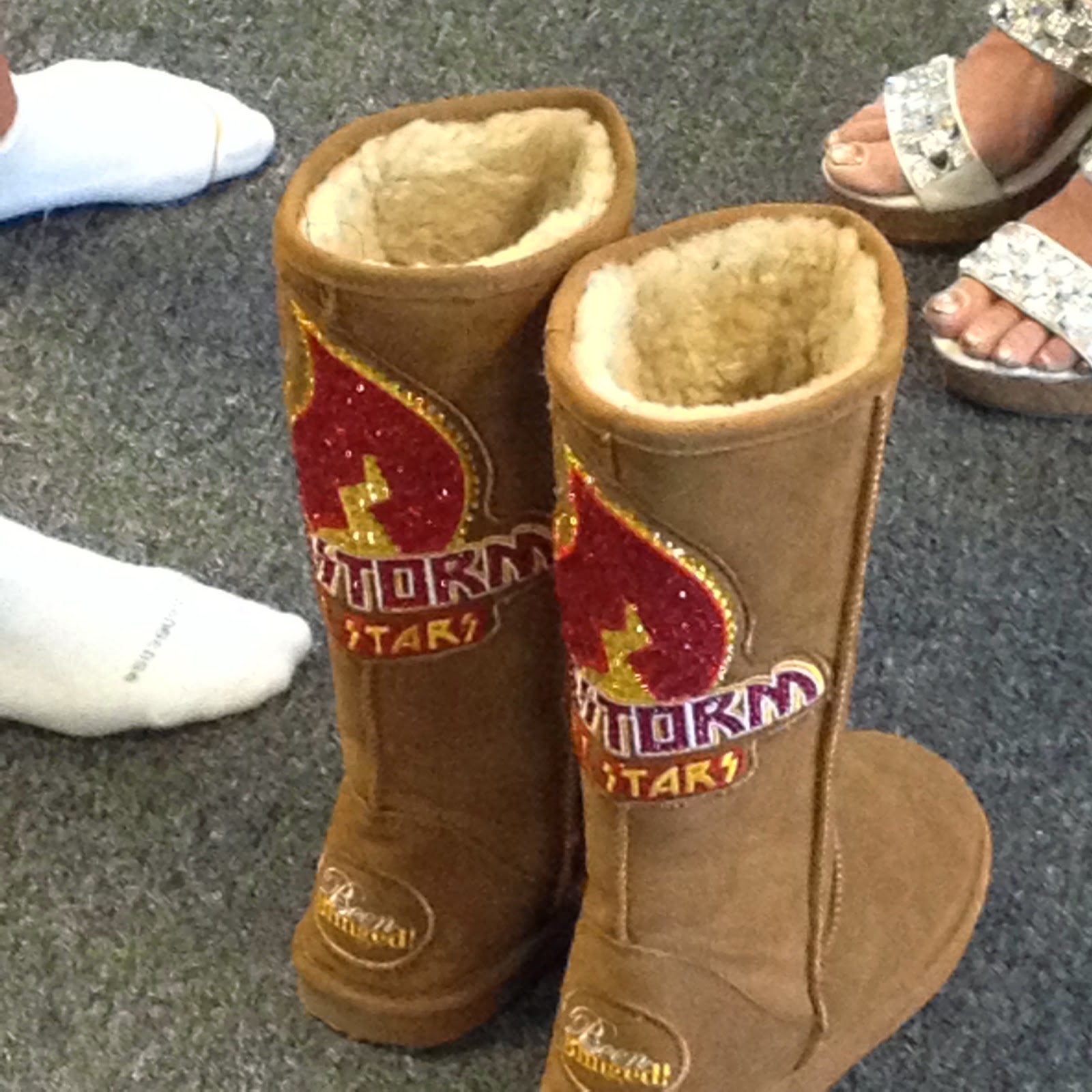 Secret Diary of an American Cheerleader 4 Cheerleader Undercover