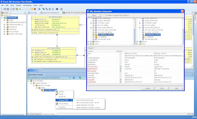 Oracle Tips & Technique: Oracle SQL Developer Data Modeler
