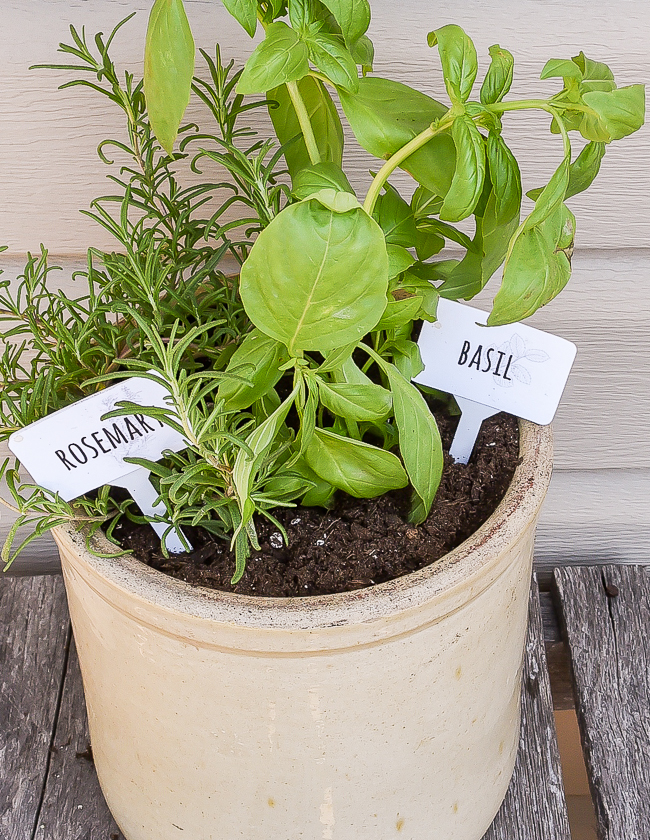 Easy Dollar Tree Herb Markers and Free Printable Little House of Four