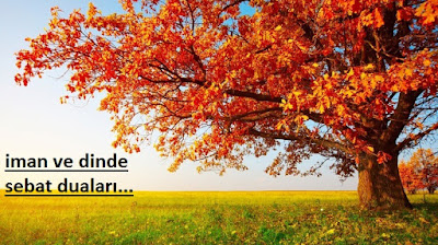 İman ve Dinde Sebat Duaları Nelerdir İman ve Dinde Sebat Duaları Nelerdir