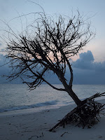 Pulau Besar at dusk