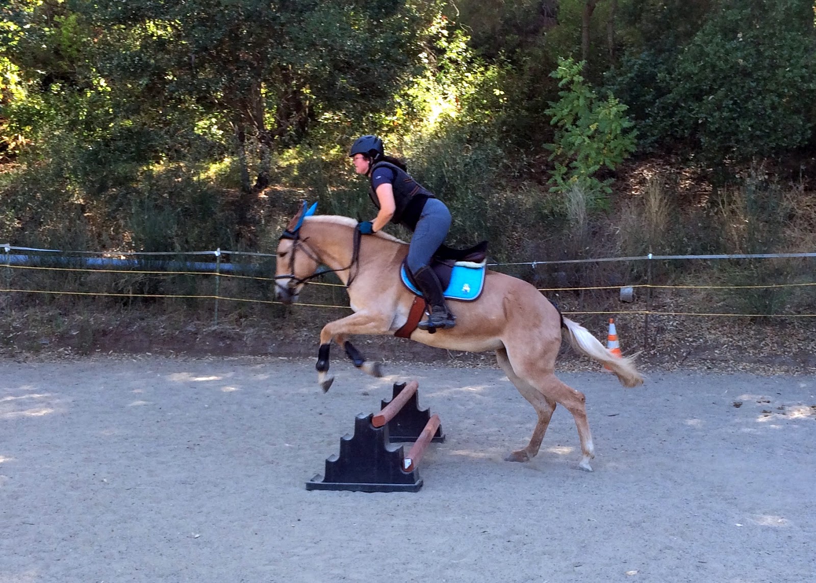 Do It Yourself Horse Ownership Jumping Practice