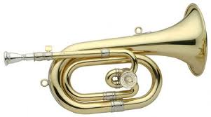 corneta viento cornetas instrumentos trompeta aorta ramas procesional marcha fliscorno pblicos arteria