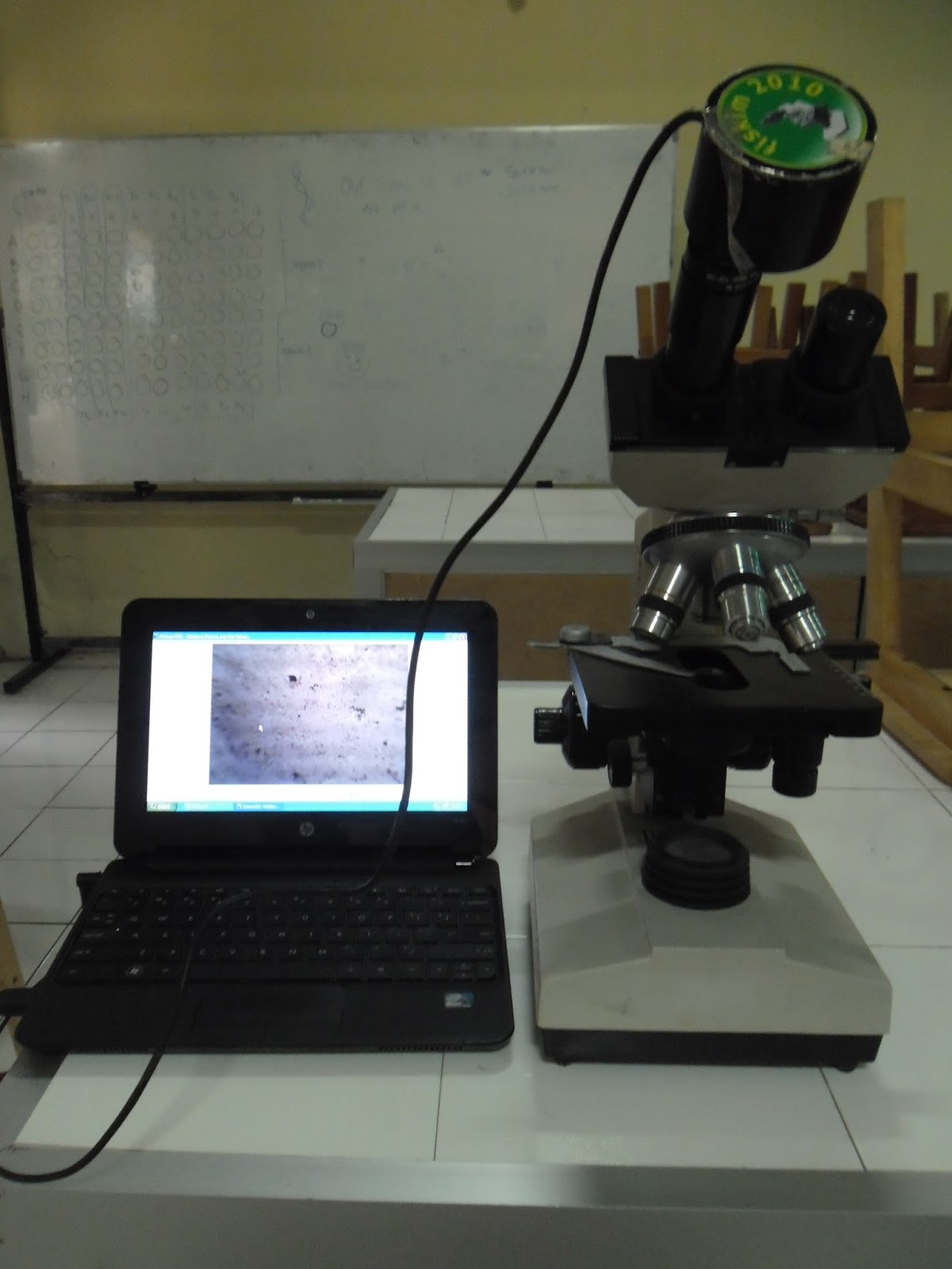 GO BLoG: Pewarnaan gram bakteri