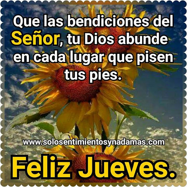 Feliz jueves.