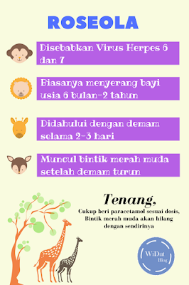 Dibalik Drama Roseola dan Liburan Ceria 3 Dibalik Drama Roseola dan Liburan Ceria