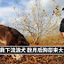 法国大妈好心救下流浪犬,数月后狗狗为她带来大量财富