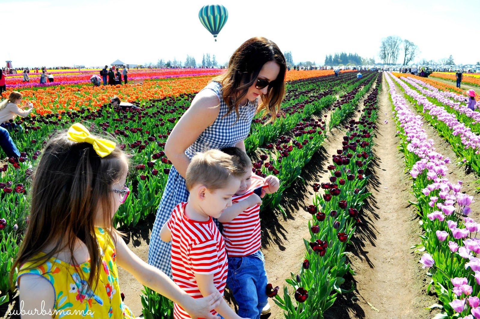 Suburbs Mama: Visit to the tulip farm...