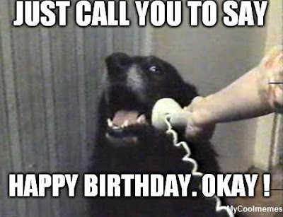 Funny Happy Birthday Dog Meme 3