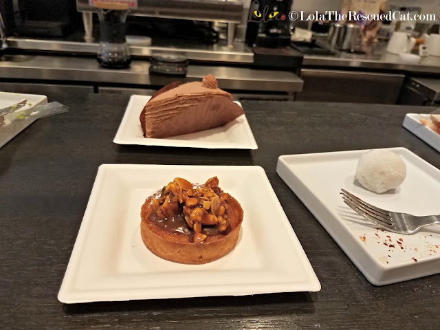 Koneko Cat Cafe|BlogPurr|Merck|CWA