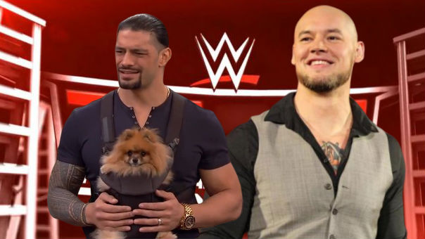 На PPV шоу WWE TLC могут провести матч с собачьими ошейниками