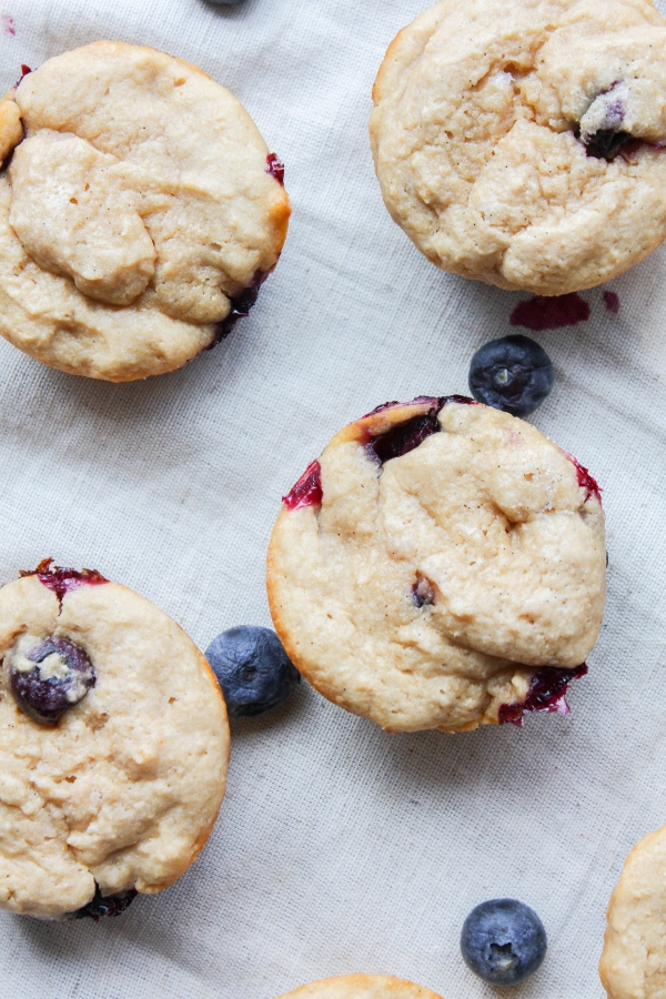 These healthy Sprouted Wheat Blueberry Yogurt Muffins are the perfect quick breakfast or snack and they’re ready to eat in just 30 minutes. What's not to love?