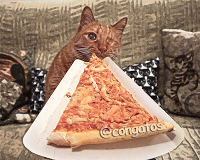#Elmo #ConGatos #Gato #Gatera #Pizza #Comentarios