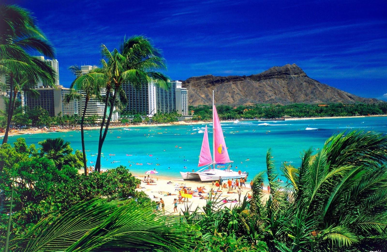 Banco de Imágenes Gratis: Waikiki Honolulu Hawai - Playas exóticas para  visitar
