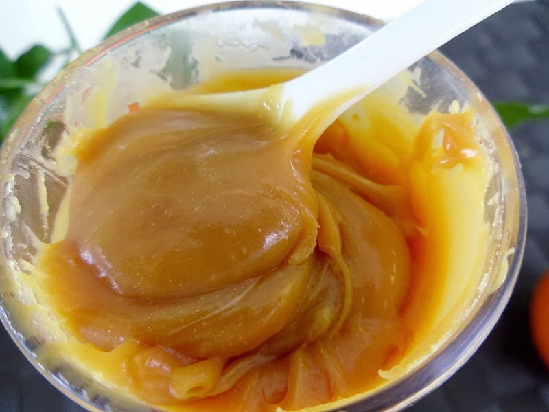 Gourmande ou passionnée... Sauce caramel à la clémentine corse
