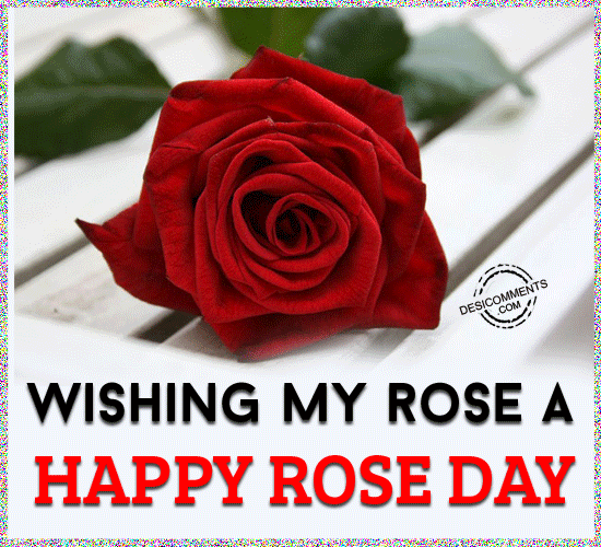 Happy Rose Day My Love GIF Images Happy Rose Day My Love GIF Images