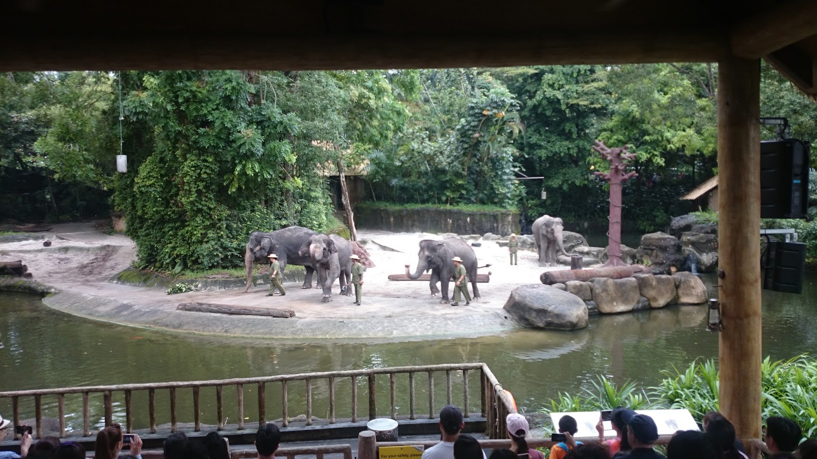Московские зоопарки лучшие. Сингапур Скиф зоопарк. Республика Сингапур зоопарк Панда. Огромный зоопарк.