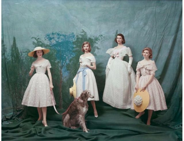 dior 1950's dresses