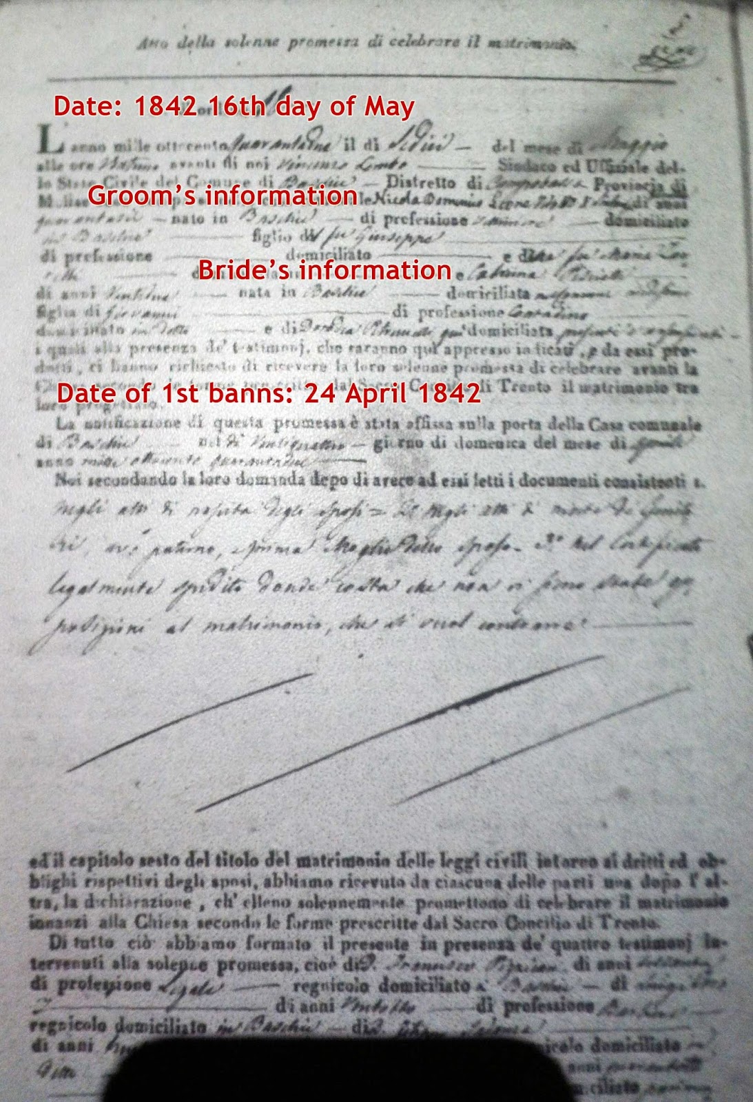 Fortify Your Family Tree How To Read Italian Marriage Records the-most-complete-and-correct-how-to-read-italian-wine-labels-true-wine