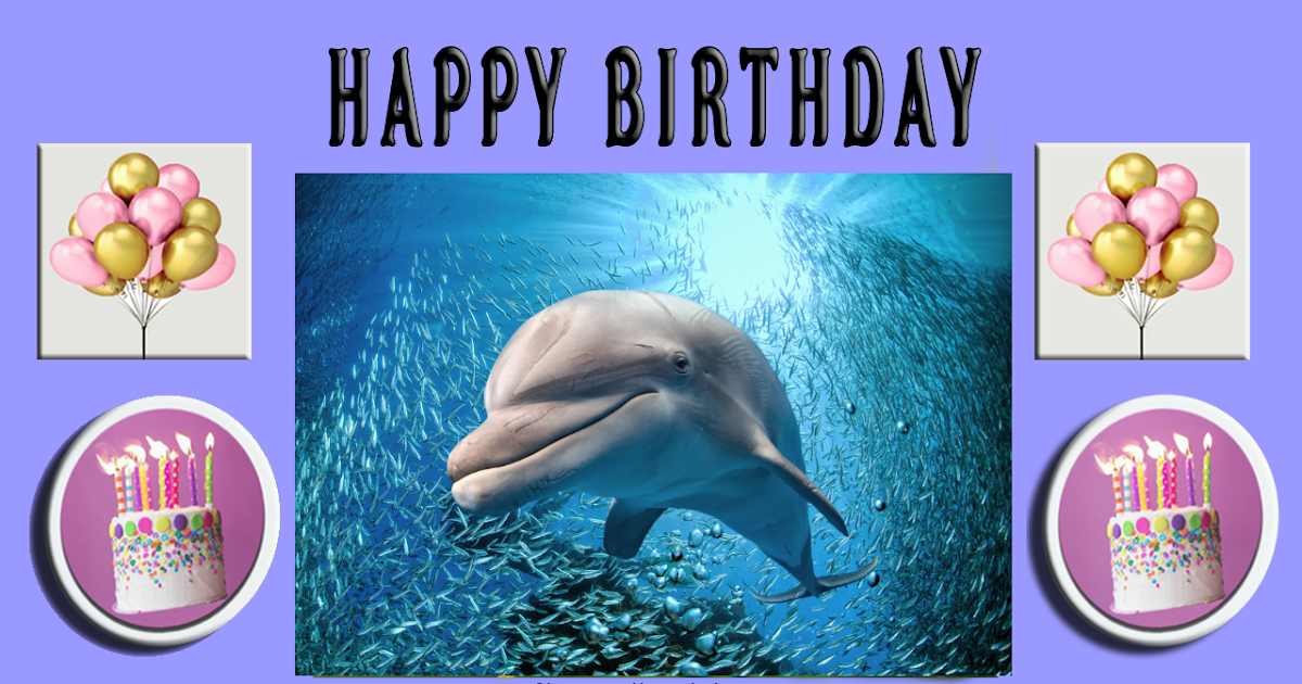 Dolphin birthday greeting card