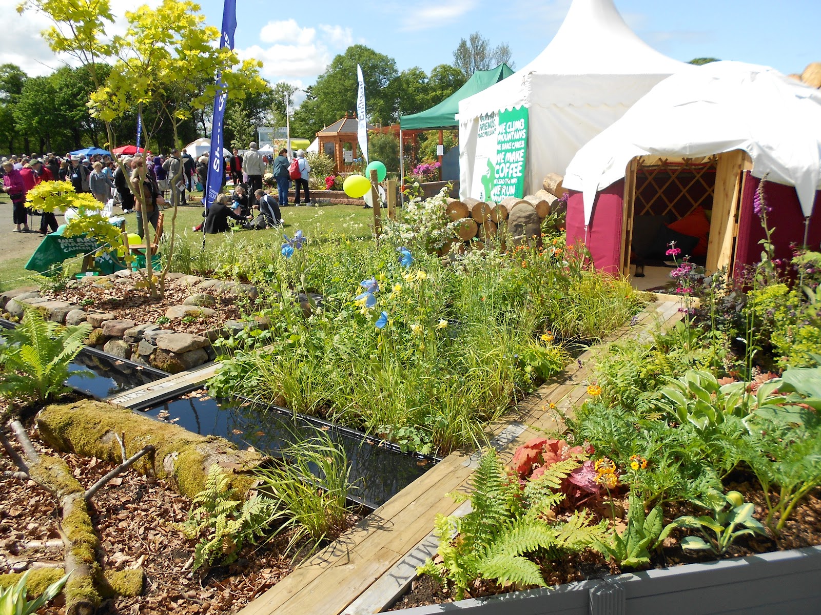 Sweet Pea and the City Ahoy Gardening Scotland!
