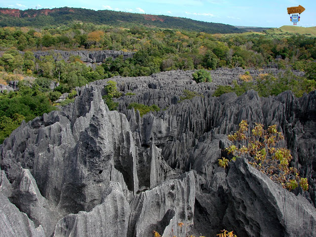 Madagascar: parque Nacional Tsingy de Bemaraha