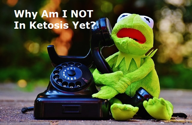 Why Am I Not in Ketosis Yet?