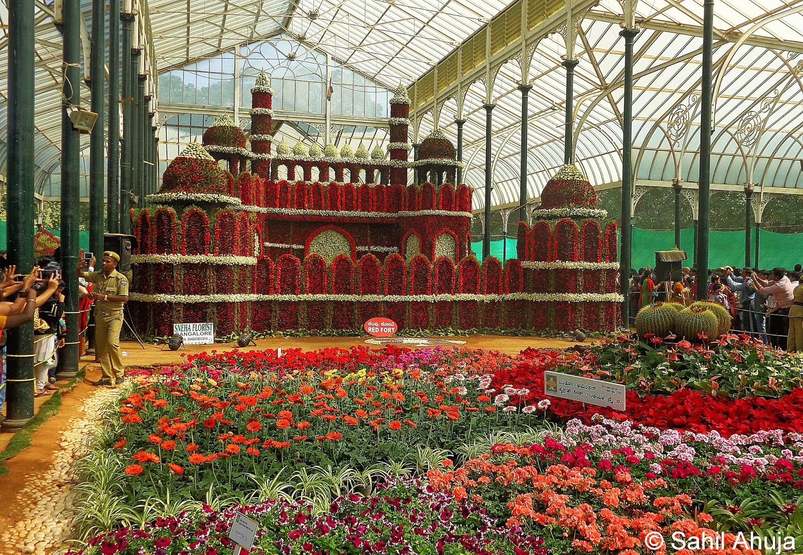 Pixelated Memories Lal Bagh Botanical Gardens, Bangalore