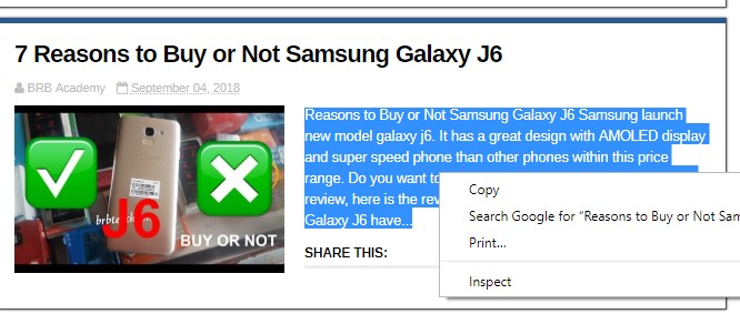 how to copy text from protected website chrome